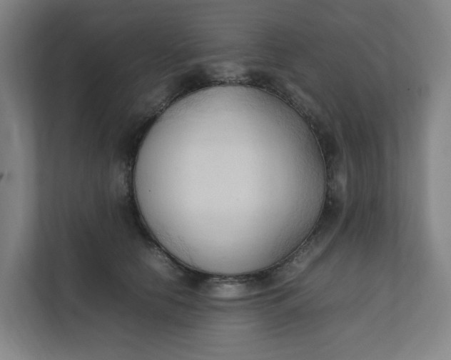 X0000111950658200908101223