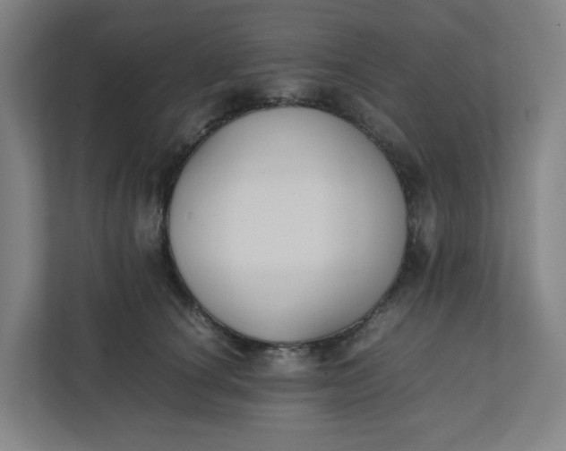 X0000111950660200908101223