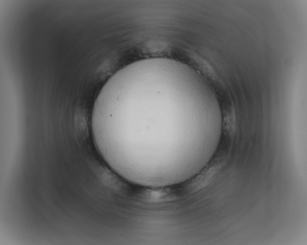 X0000111950662200908101223