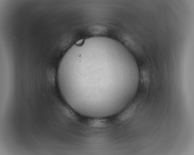 X0000111950664200908101223