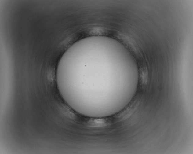 X0000111950665200908101223