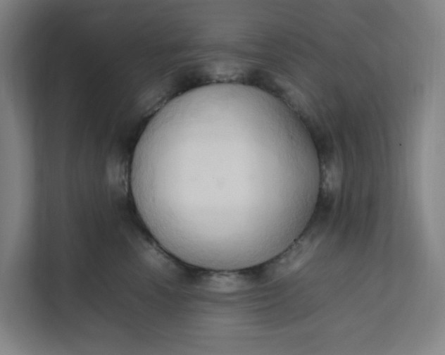 X0000111950666200908101223