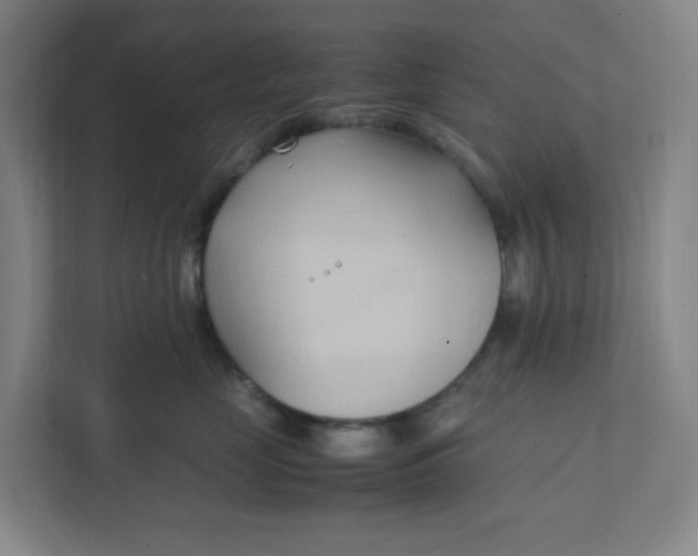 X0000111950669200908101223