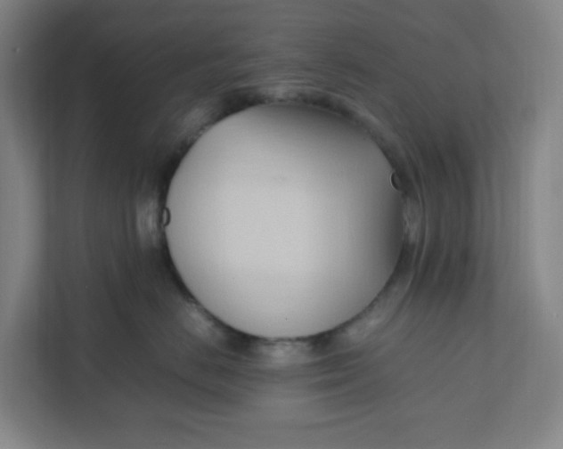 X0000111950670200908101223