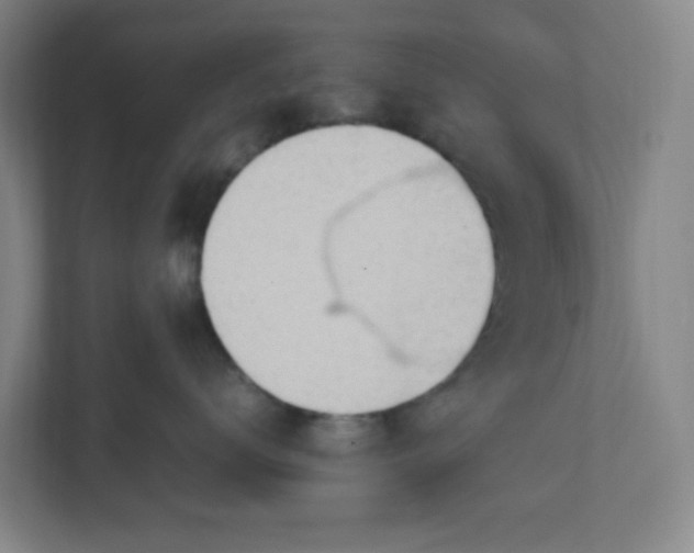 X0000111950672200908101223