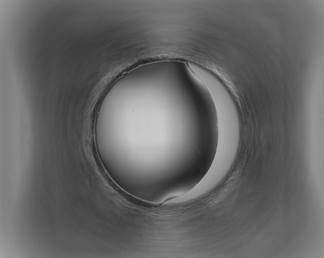 X0000111950673200908101223