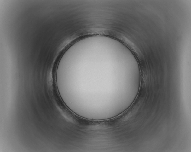 X0000111950674200908101223