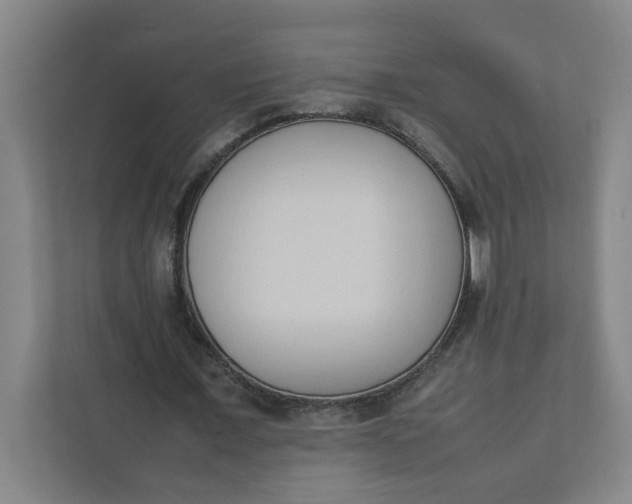 X0000111950675200908101223