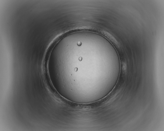 X0000111950676200908101223