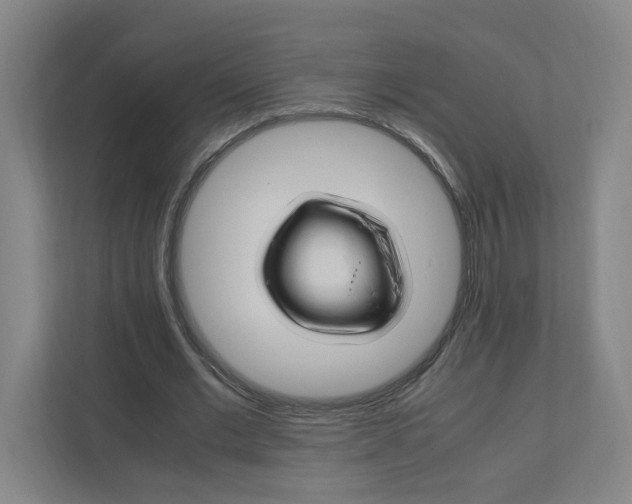 X0000111950677200908101223