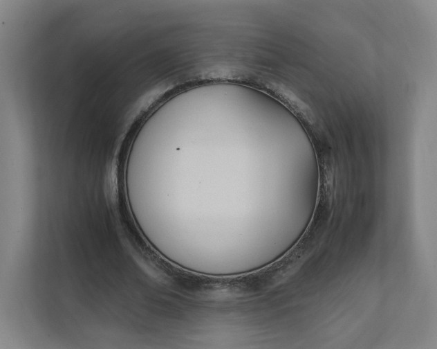 X0000111950678200908101223