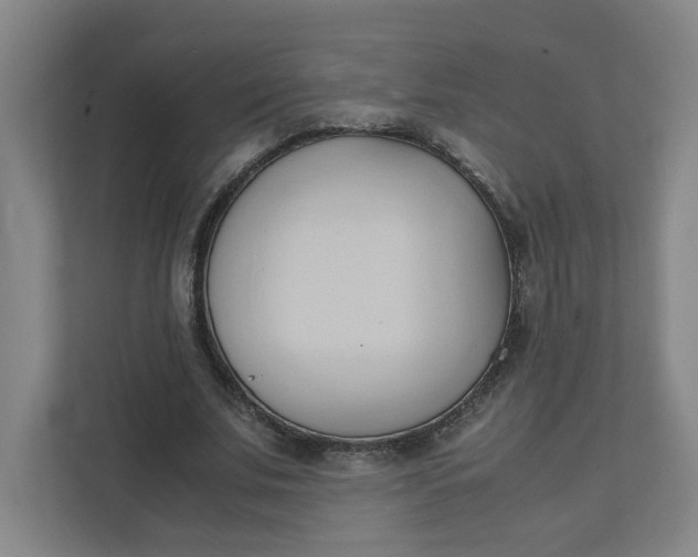 X0000111950679200908101223