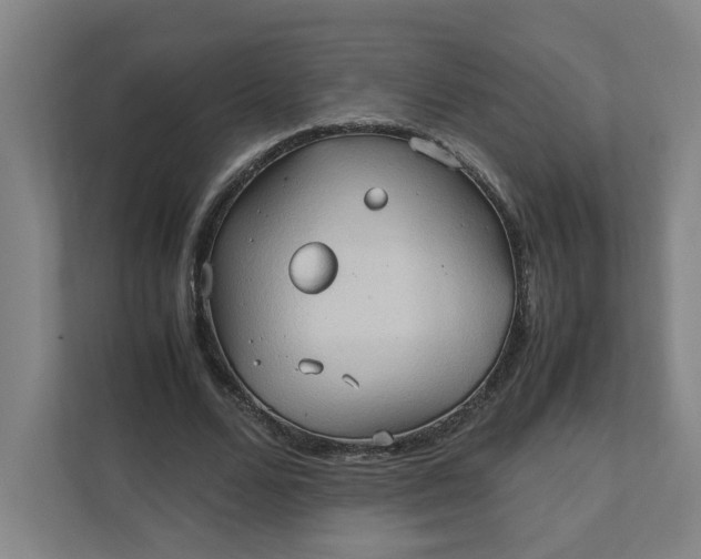 X0000111950680200908101223