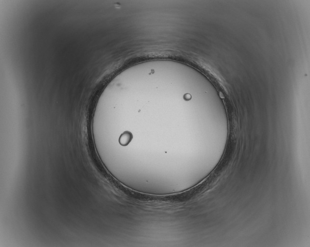 X0000111950681200908101223