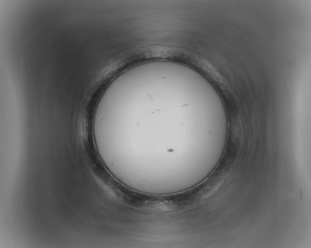 X0000111950683200908101223