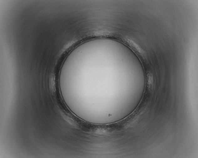 X0000111950684200908101223