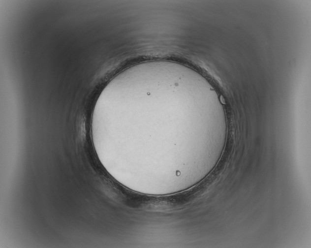 X0000111950685200908101223