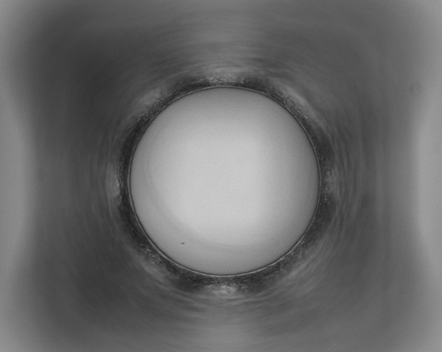 X0000111950687200908101223