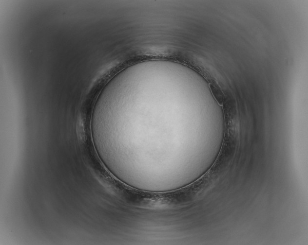 X0000111950688200908101223