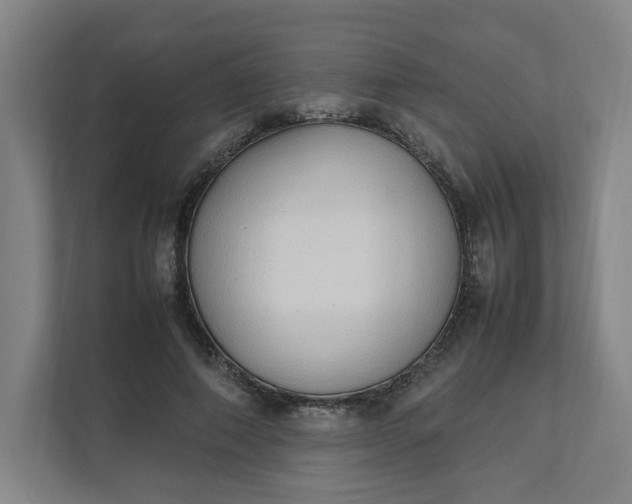 X0000111950690200908101223