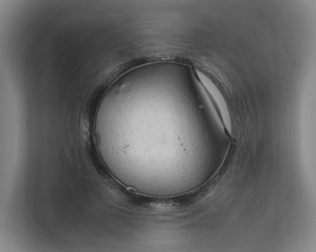 X0000111950693200908101222