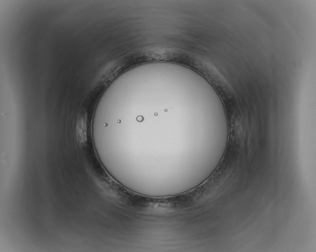 X0000111950694200908101222