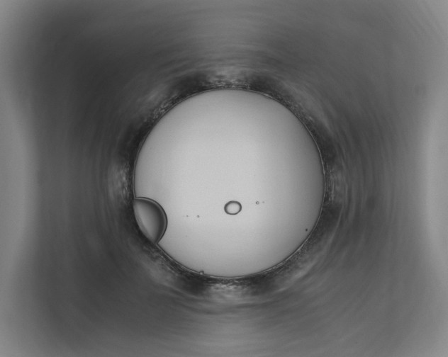 X0000111950699200908101222
