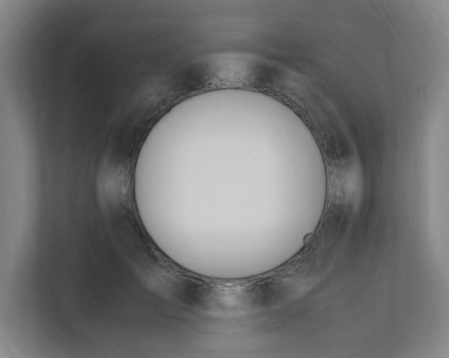 X0000111950701200908101222