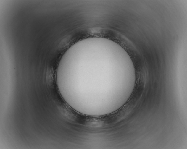 X0000111950702200908101222