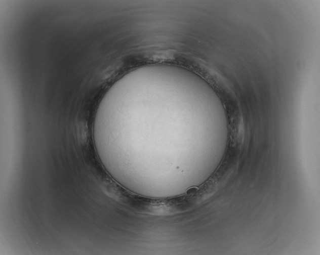 X0000111950704200908101222