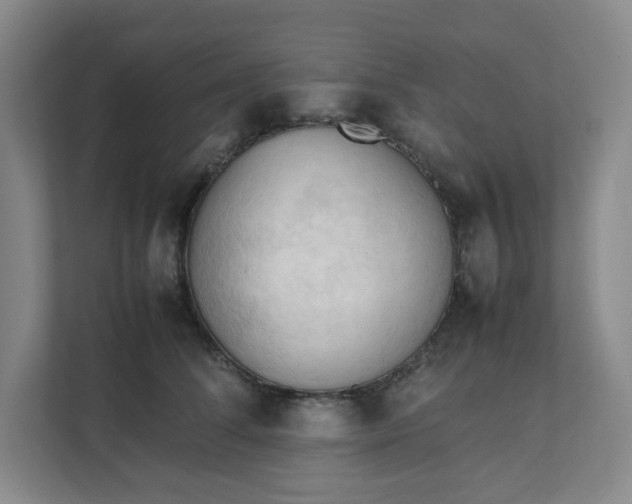 X0000111950708200908101222