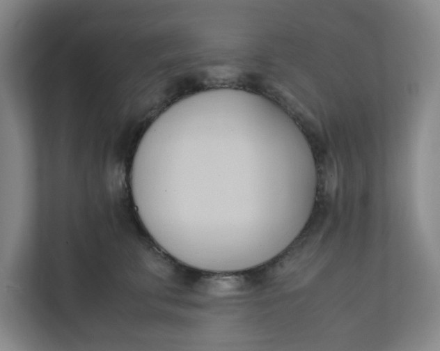 X0000111950711200908101222