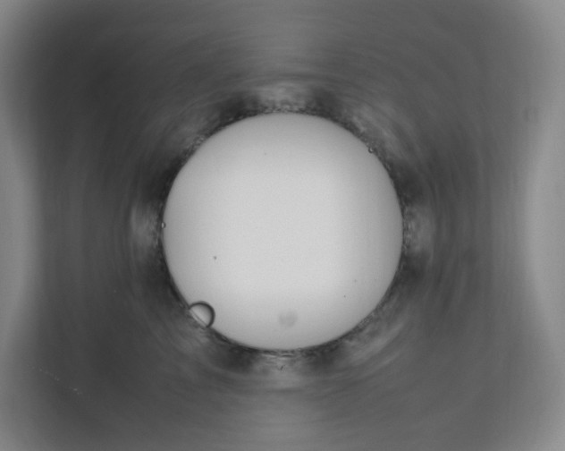 X0000111950713200908101222