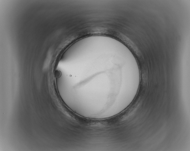 X0000111950721200908101222