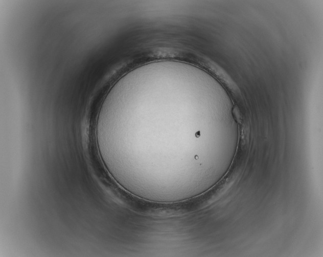 X0000111950722200908101222