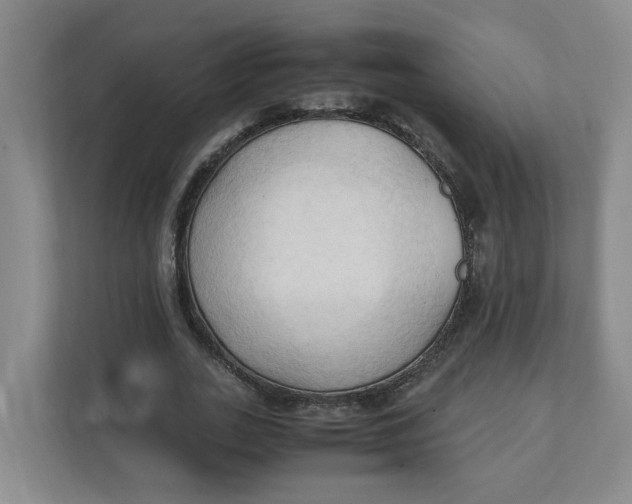 X0000111950727200908101222