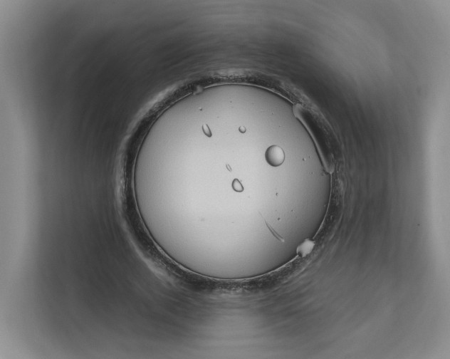 X0000111950728200908101222