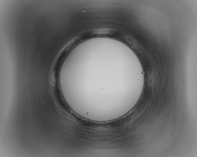 X0000111950731200908101222