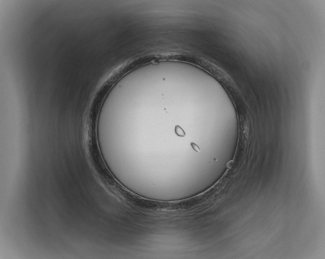 X0000111950732200908101222