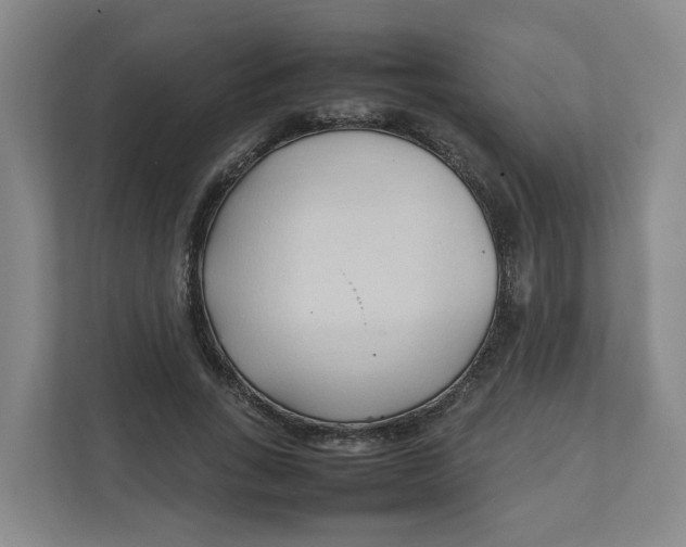 X0000111950735200908101222