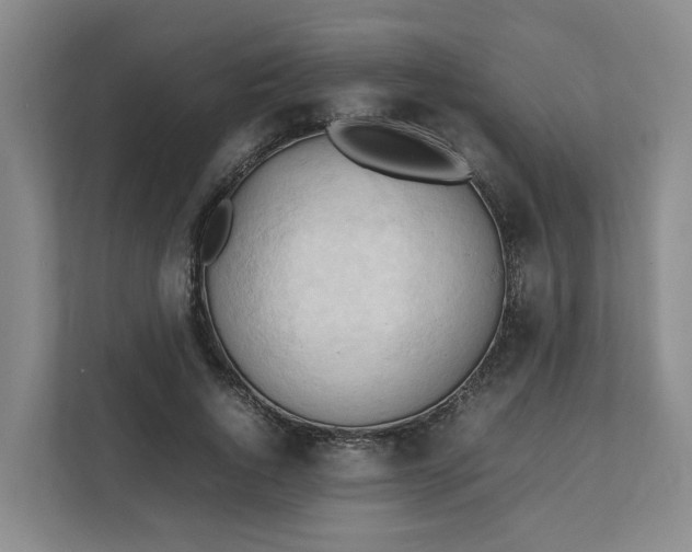 X0000111950736200908101222