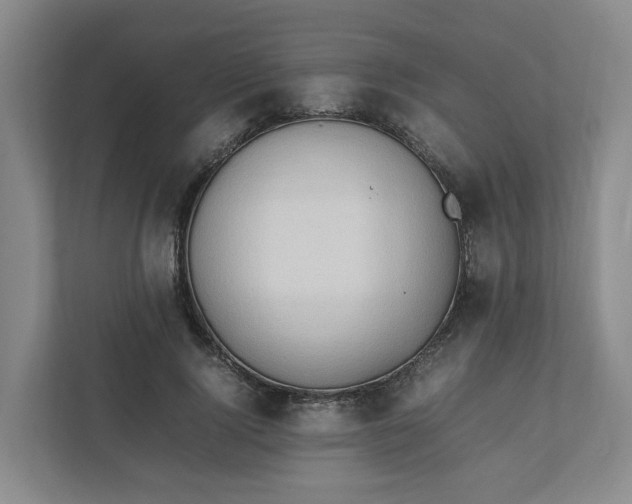 X0000111950740200908101222