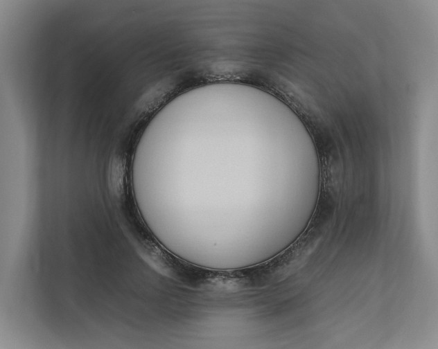 X0000111950742200908101222