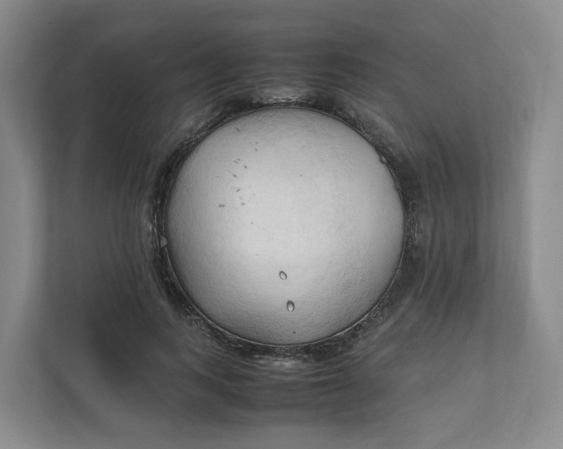 X0000111950743200908101222