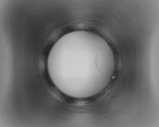 X0000111950746200908101222