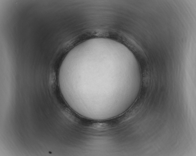 X0000111950748200908101222