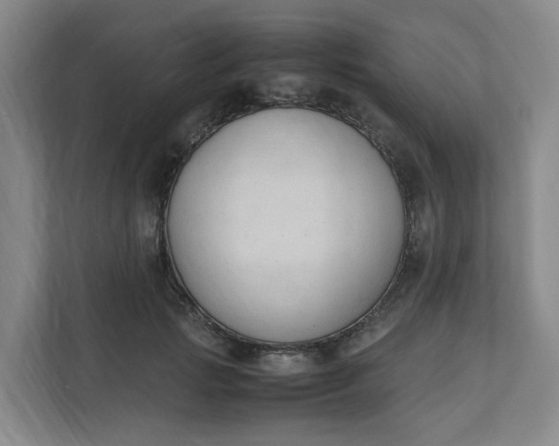 X0000111950749200908101222
