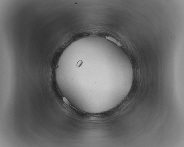 X0000111950750200908101222