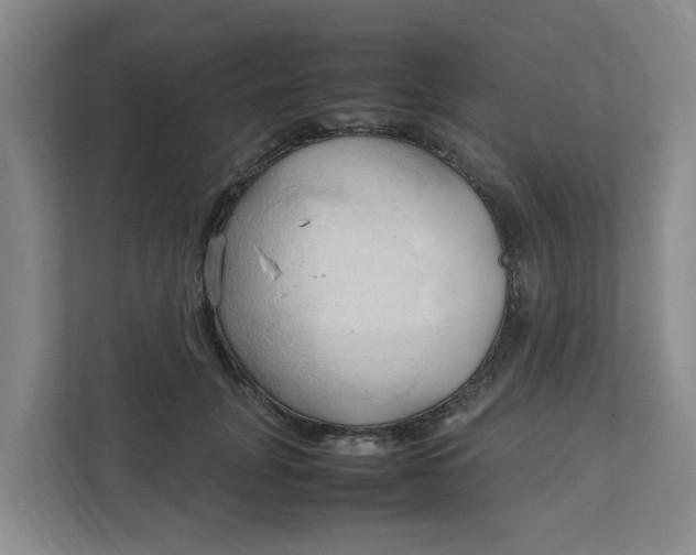 X0000111950751200908101222