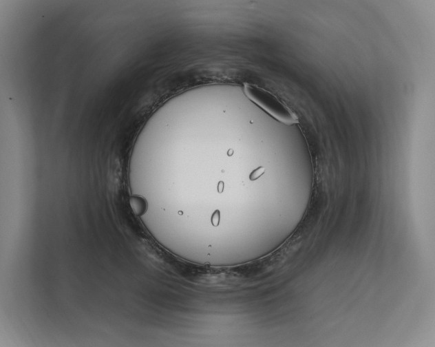 X0000111950752200908101222